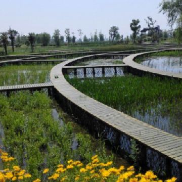 泗洪洪泽湖湿地公园_泗洪湿地公园门票收入