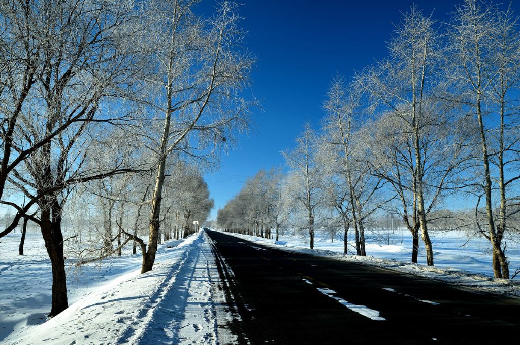 冬季到小兴安岭来看雪