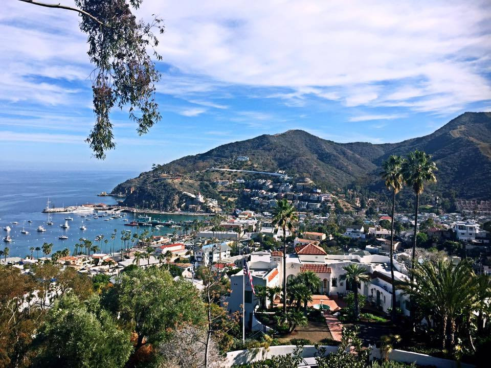 美国西海岸上人间仙境——圣卡塔利娜san catalina island