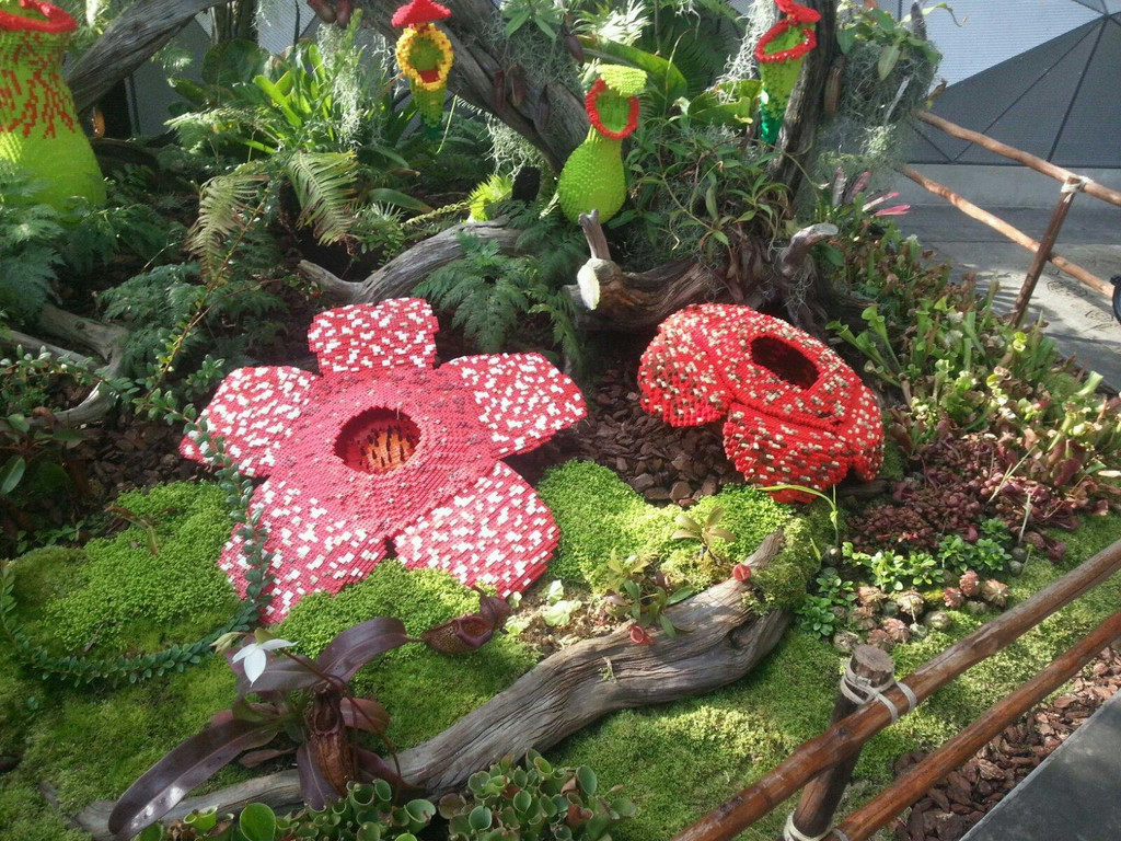 新加坡 滨海湾花园 世界最大的温室花园