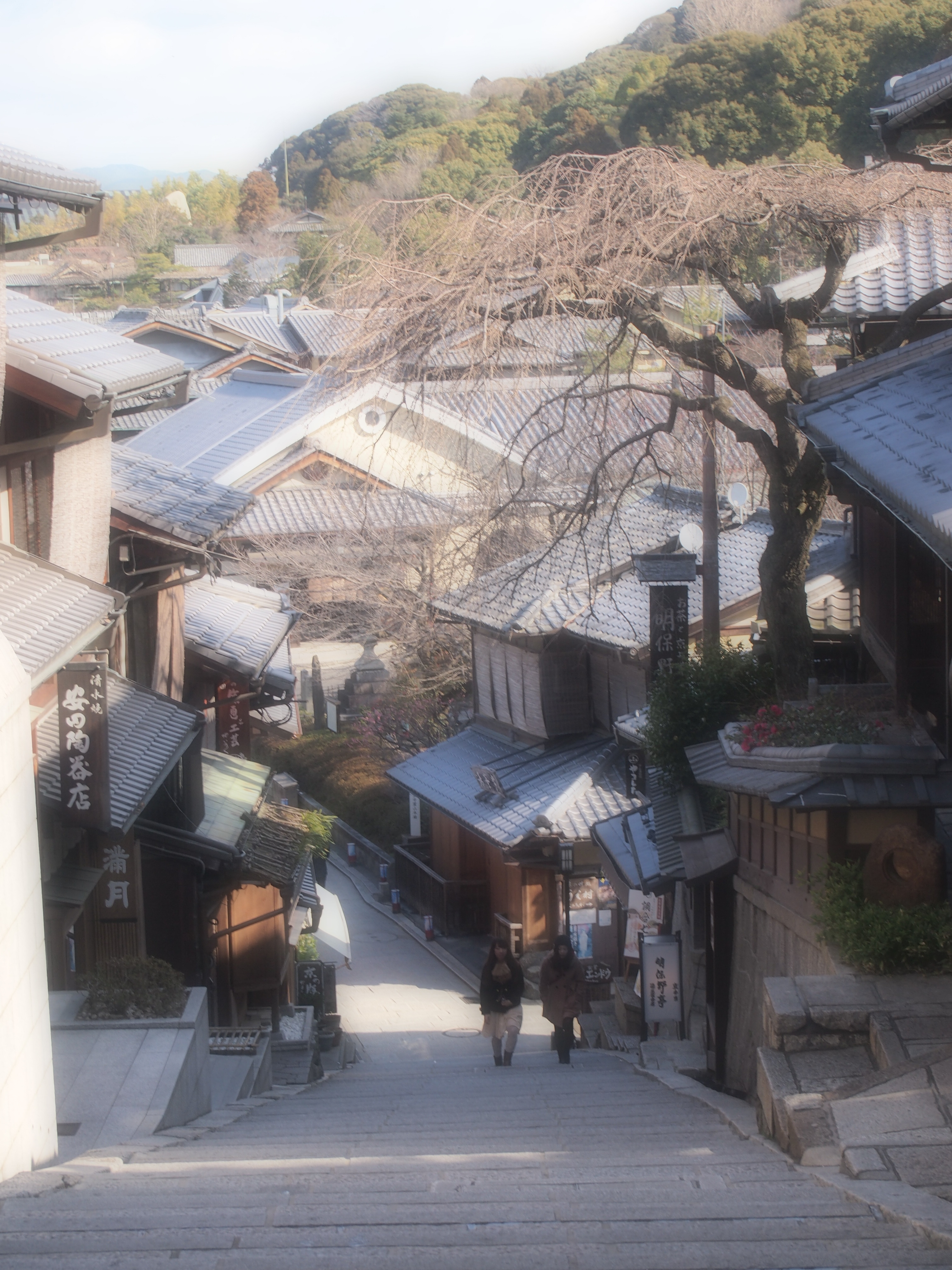日本5日自由行记——不懂日语也可以轻松玩转关西