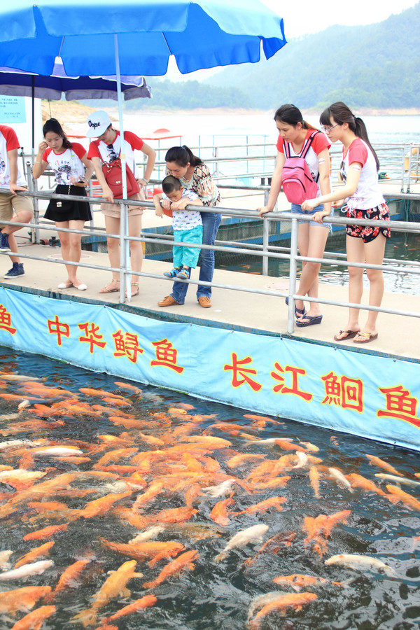 千岛湖自驾油导航导哪里