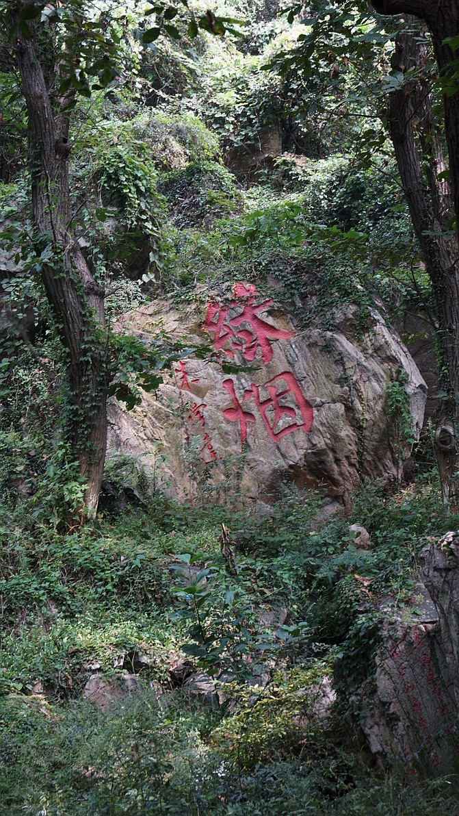 2014秋游记(16)花果山