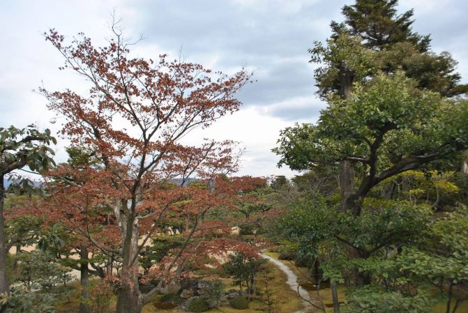 日本大阪自由行攻略 附详细交通指南 - 京都游