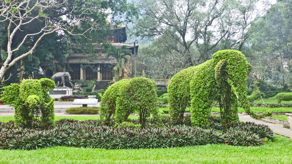 越南 河内和胡志明市 植物园/动物园 古树浓荫避尘嚣