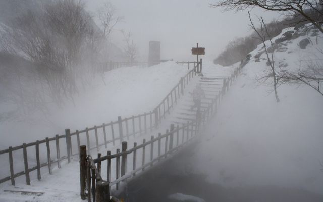 一直往东北走,那旮瘩挺有趣--东北 - 大连游记攻