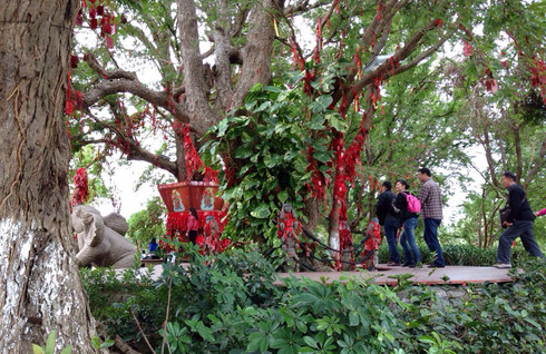 攻略红叶旅游区,去那里的人一定要去拜一下南视频羁绊的文化南山图片