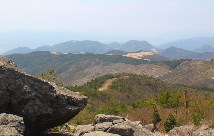 大雷山位于天台县的西南角,是天台,临海,仙居三地交界处,其主峰海拔