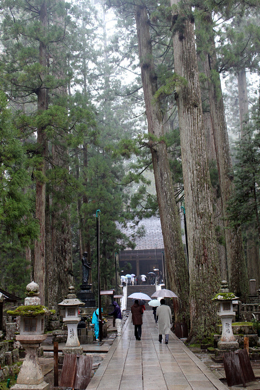 高野山纪行—奥之院