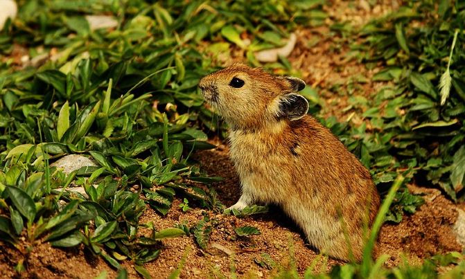 青海湖、甘肃、内蒙古7日摄影自驾游,自驾全程