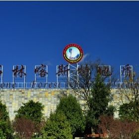 石林喀斯特地质博物馆门票,昆明石林喀斯特地