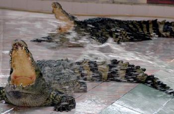 携程攻略】爱心大世界门票,三亚爱心大世界攻