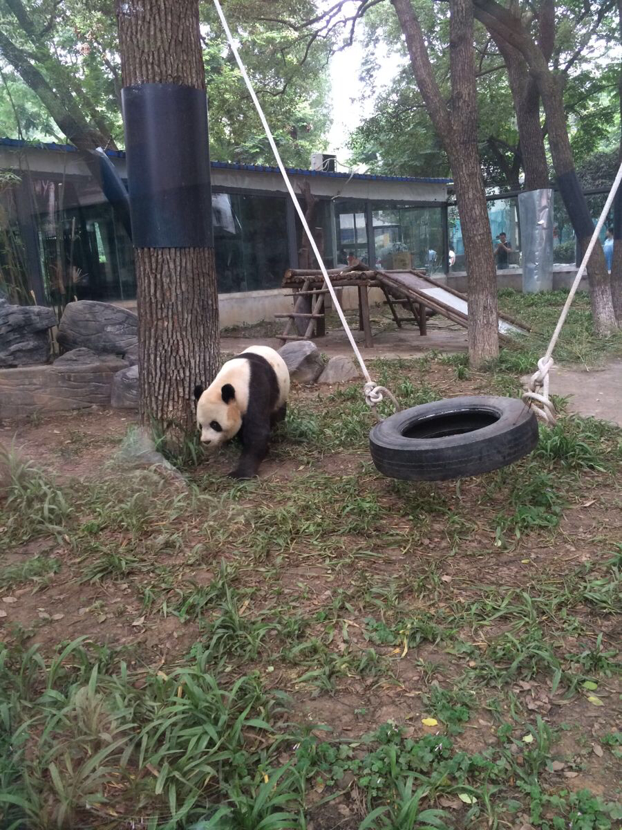 宜昌61儿童节儿童公园一三峡人家二日游,说走就走的旅行第二季