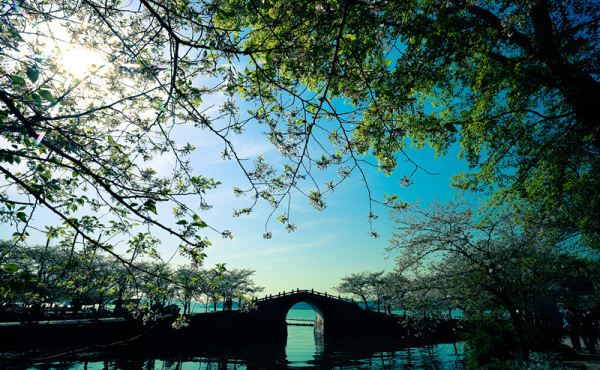 2016江浙沪旅游攻略,自助游/自驾/出游/自由行云南边三县旅游攻略景迈山图片