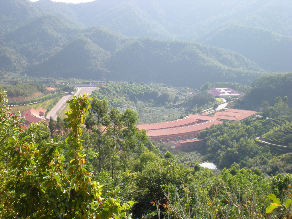 雁南飞茶田景区