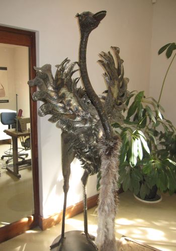 10天游遍非洲最南端-南非小资跟团游,太阳城、