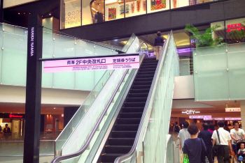 3女生日本京都、大阪、奈良3地9天8夜小资购