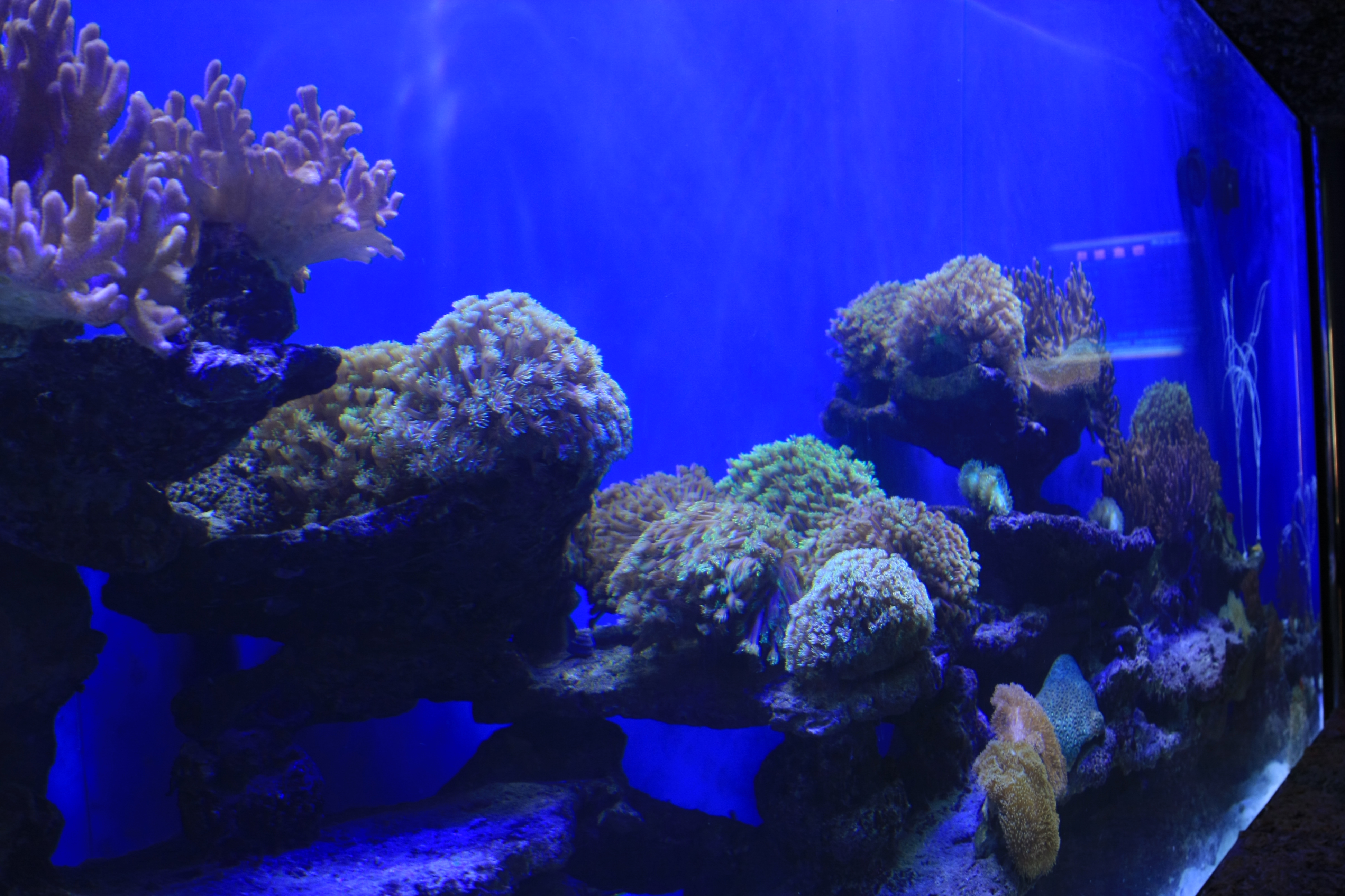 石家庄海底世界门票