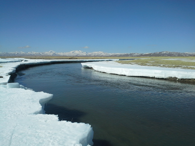 冰冻的河面很坚实,冰层很厚,一部分已经开始融化,挡不住春天的脚步.