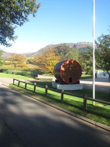 10天游遍非洲最南端-南非小资跟团游,太阳城、