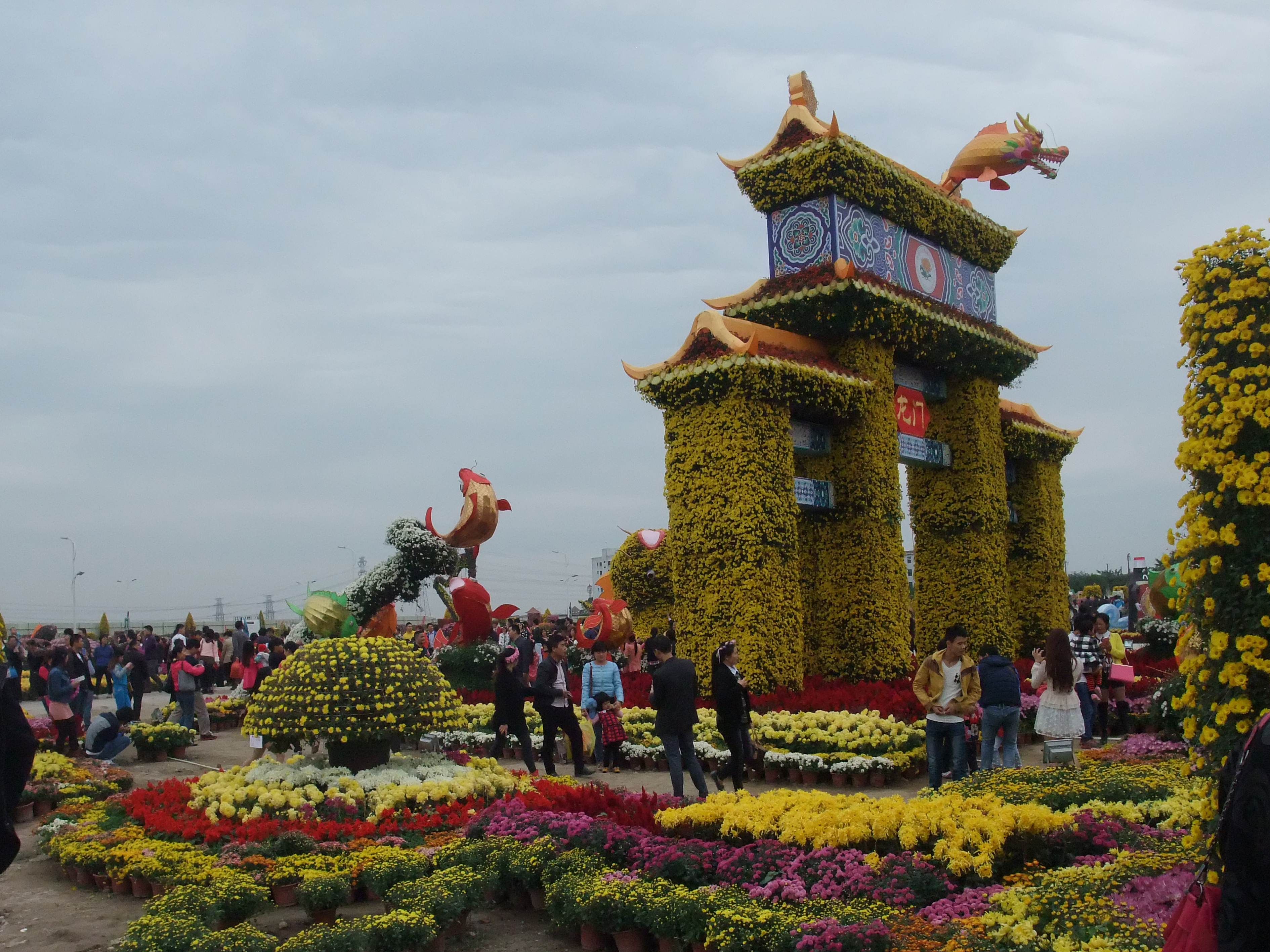 2014广东中山市 小榄 菊花展