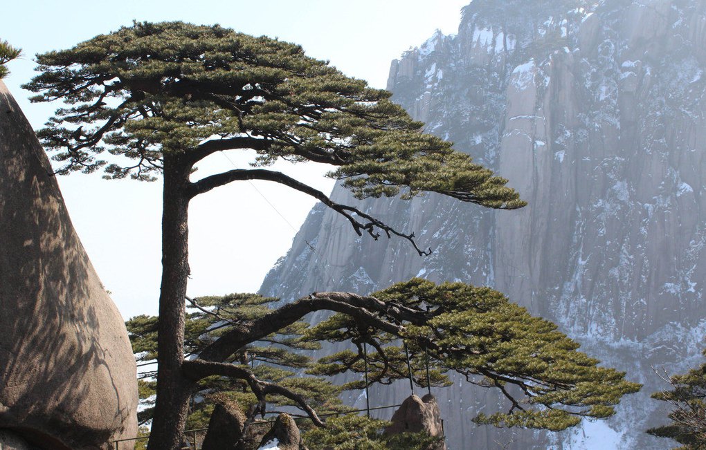 五岳归来不看山,黄山归来不看岳——"中华最美山"黄山游览笔记