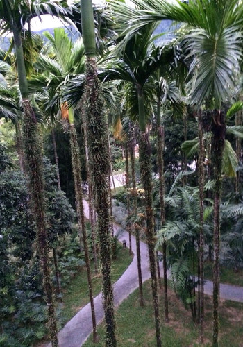 这次的七仙岭别墅之旅住的很舒服温泉别墅里v别墅院子北京图片