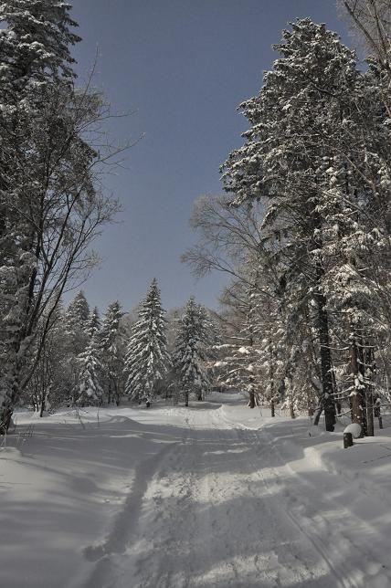 哈尔滨原生态东升林场1日游,美食、雪景玩个遍