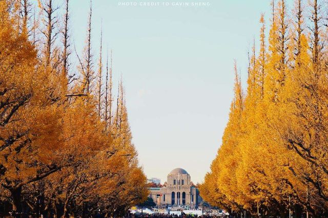 新宿区明治神宫外苑攻略 新宿区明治神宫外苑门票 攻略 地址 图片 门票价格 携程攻略