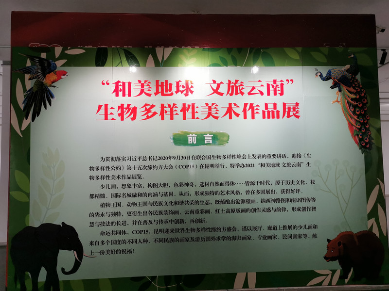 昆明旅游网