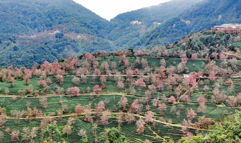 昆明旅游网