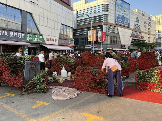 昆明旅游网