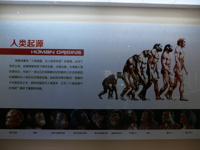 昆明旅游网