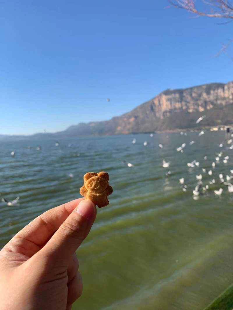 昆明旅游网