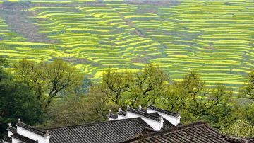 婺源篁岭