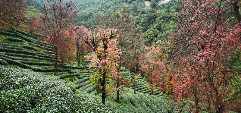 昆明旅游网