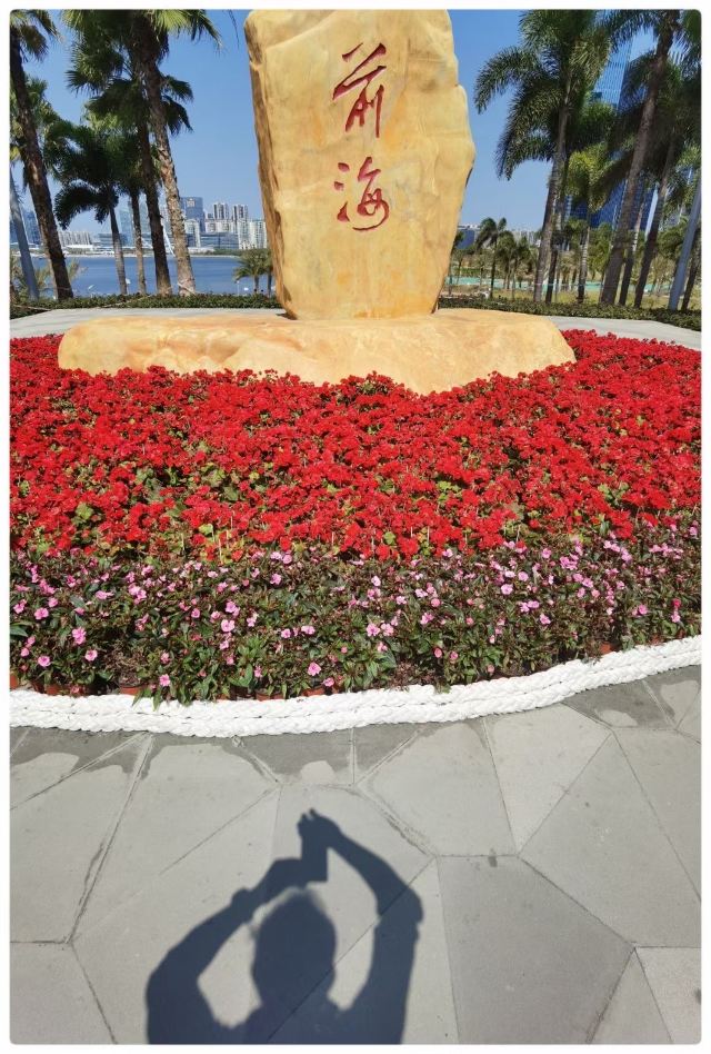 深圳前海石公园游玩攻略简介,深圳前海石公园门票/地址/图片/开放时间/照片/门票价格【携程攻略】
