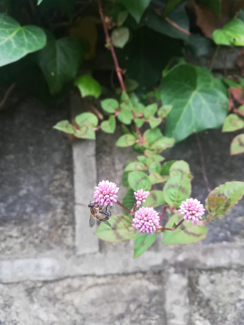昆明旅游网