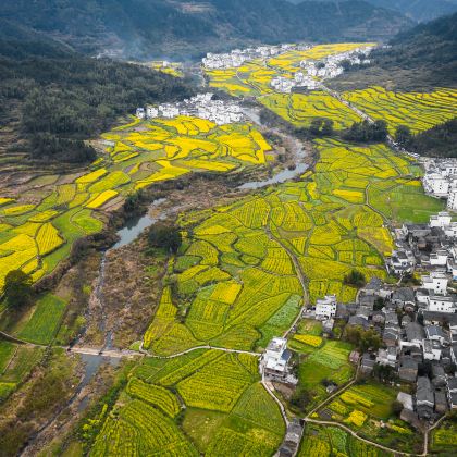 江西婺源篁岭含上下索道跟团纯玩1日游