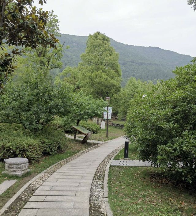 蘇州大陽山國家森林公園攻略,蘇州大陽山國家森林公園門票/遊玩攻略