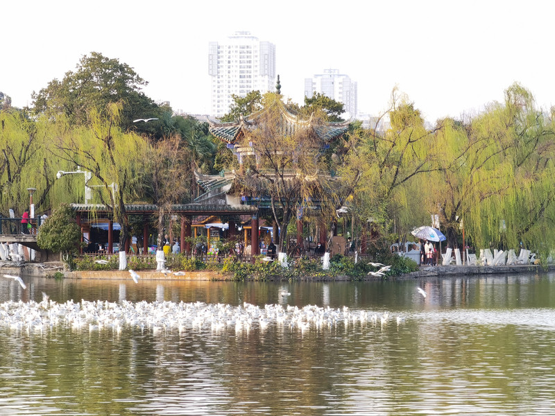 昆明旅游网