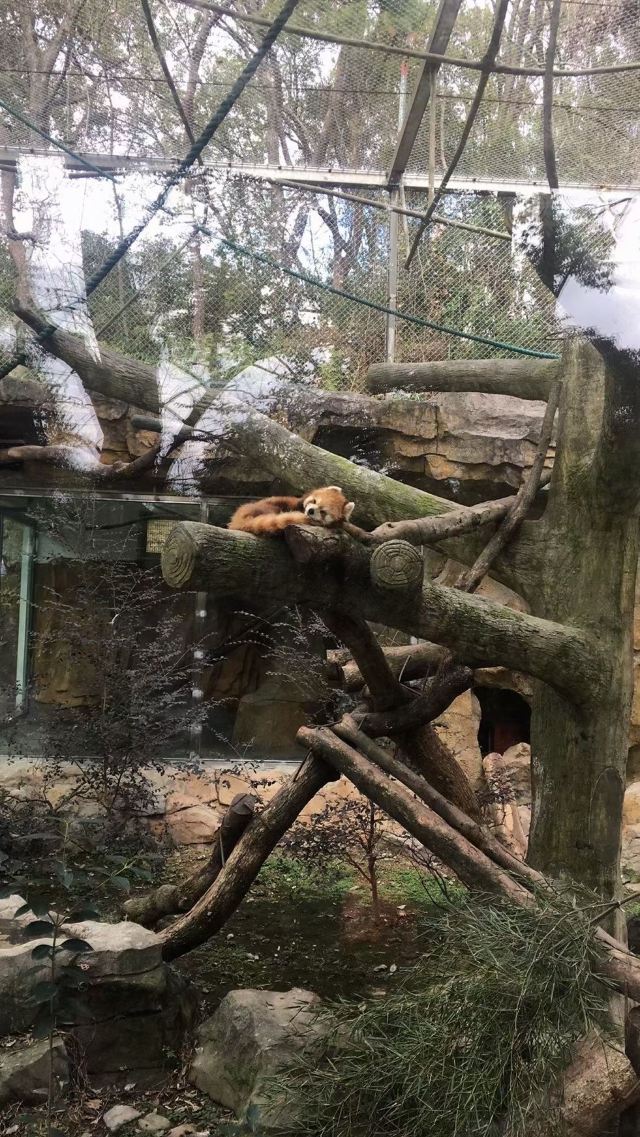 溫州溫州動物園攻略,溫州溫州動物園門票/遊玩攻略/地址/圖片/門票