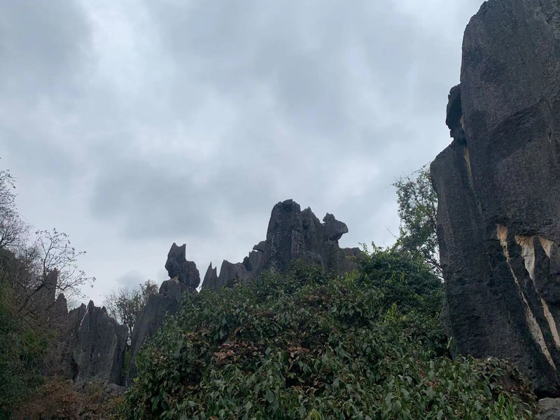 昆明旅游网