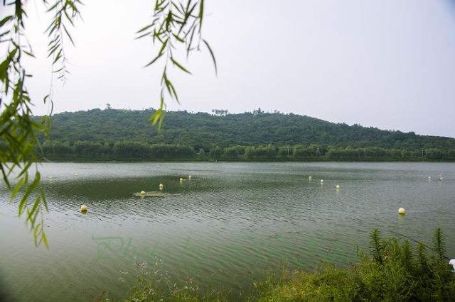 仙林羊山森林公园