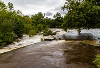 崇左德天跨国瀑布+明仕田园竹筏一日游【8人小团/私家团可选】【[一价全含]◑领略德天中越边境异域特色风情，近距离感受跨国瀑布的磅礴气势 ◑成人已含明仕田园竹筏游票】