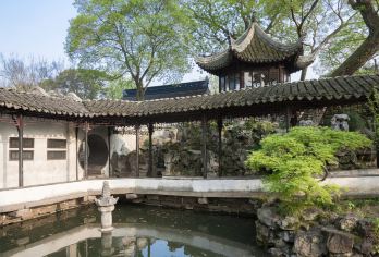 【纯玩上海出发】拙政园+狮子林+虎丘+寒山寺+山塘街一日游【纯玩无购物，巴士直达苏州，游览时间充足】