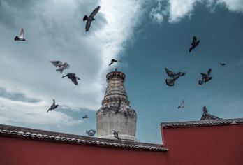 五台山一日游【石家庄出发祈福一日游】【专业持证导游服务、讲解详细、服务周到。】
