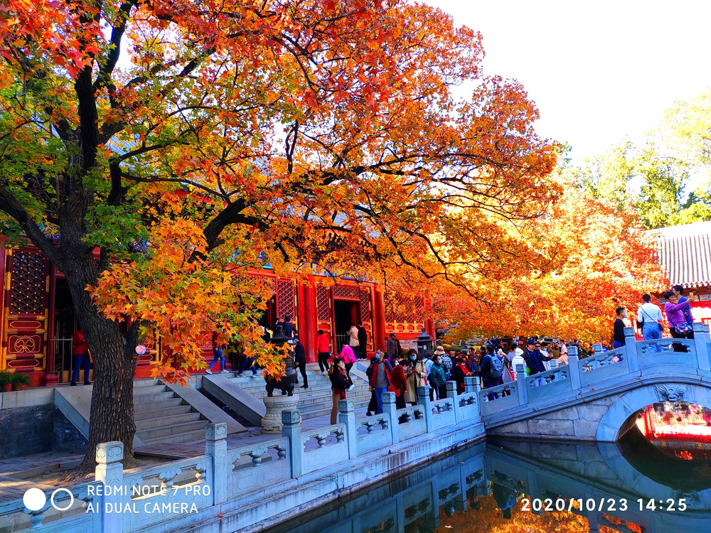 山林特色的皇家園林——香山公園