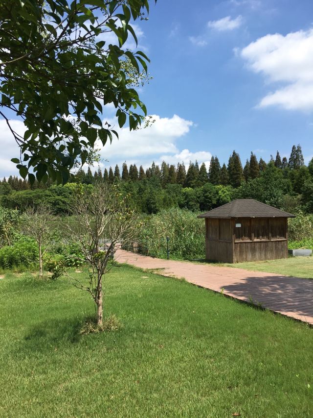 上海東平國家森林公園攻略,上海東平國家森林公園門票/遊玩攻略/地址