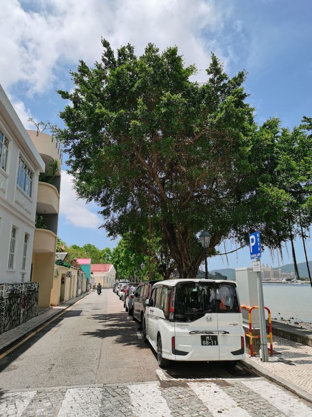 澳门十月初五马路攻略 澳门十月初五马路门票 攻略 地址 图片 门票价格 携程攻略